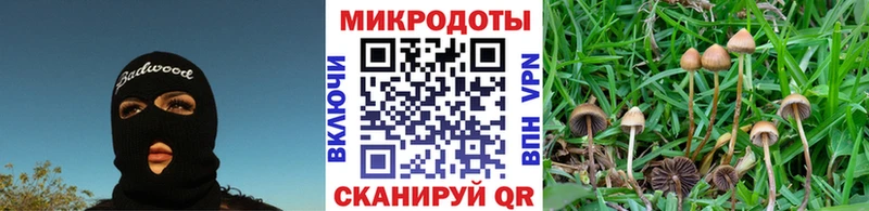 мега зеркало  Набережные Челны  Псилоцибиновые грибы Psilocybine cubensis  дарнет шоп 